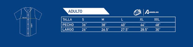 JERSEY ARRIETA SERIE ROSA PATROCINADORES