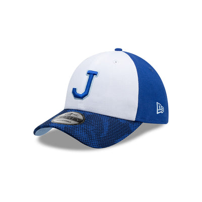 GORRA LMB 25 VISOR GRAPHIC 9FORTY
