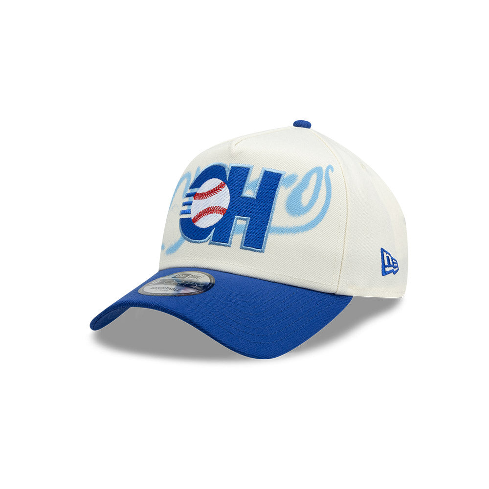 GORRA LMB 25 A-FRAME FANGEAR 9FORTY