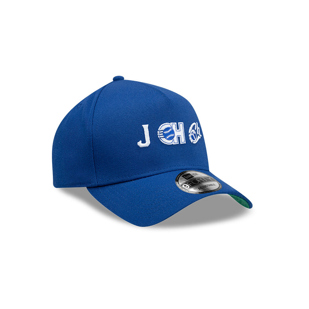 GORRA LMB 25 FANGEAR 9FORTY TRUCKER