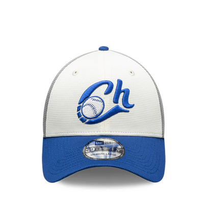 GORRA LMB 25 SPRIN TRAINING 39THIRTY