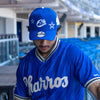 JERSEY RAYAS ALTERNATIVO LMB 26 CHARROS