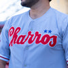 JERSEY LMB 26 ALTERNATIVO CABALLERO CHARROS GRIS