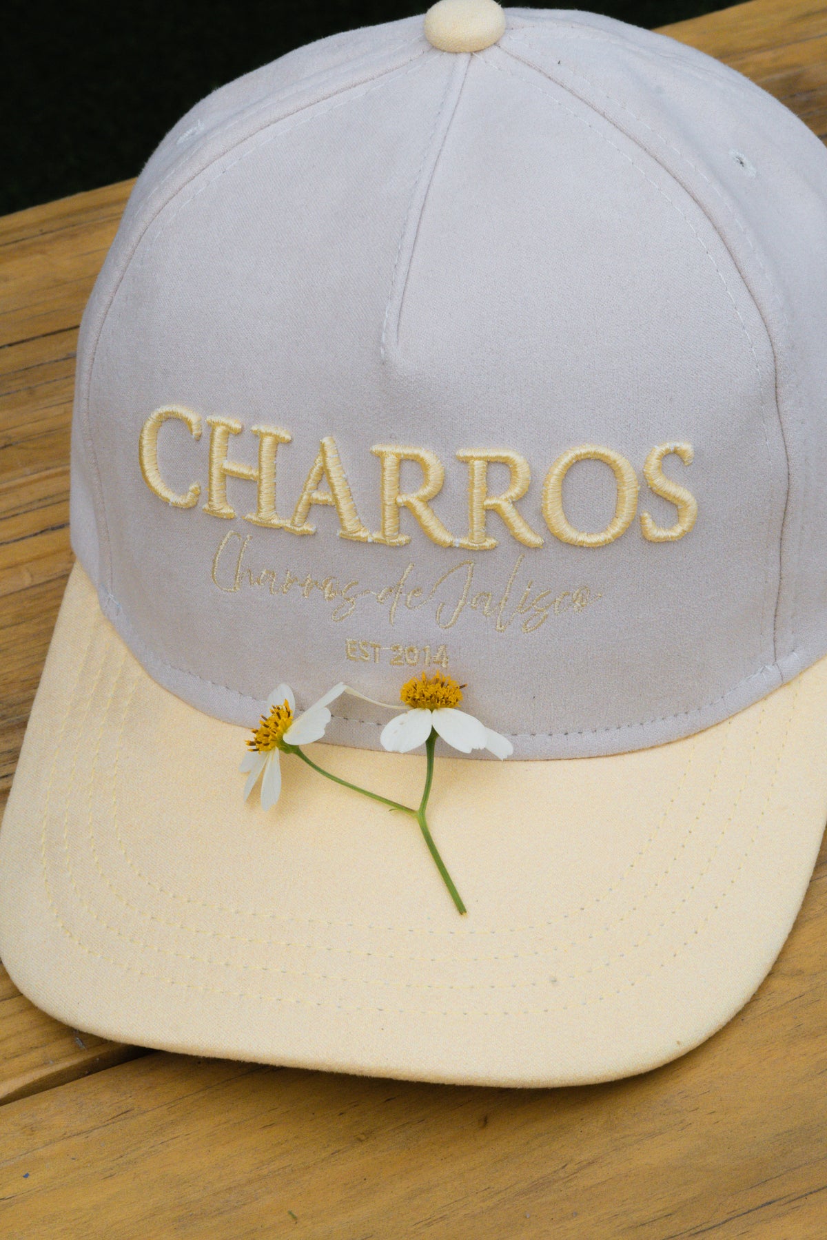 GORRA ALTERNATIVA CHARROS LMP 26-27