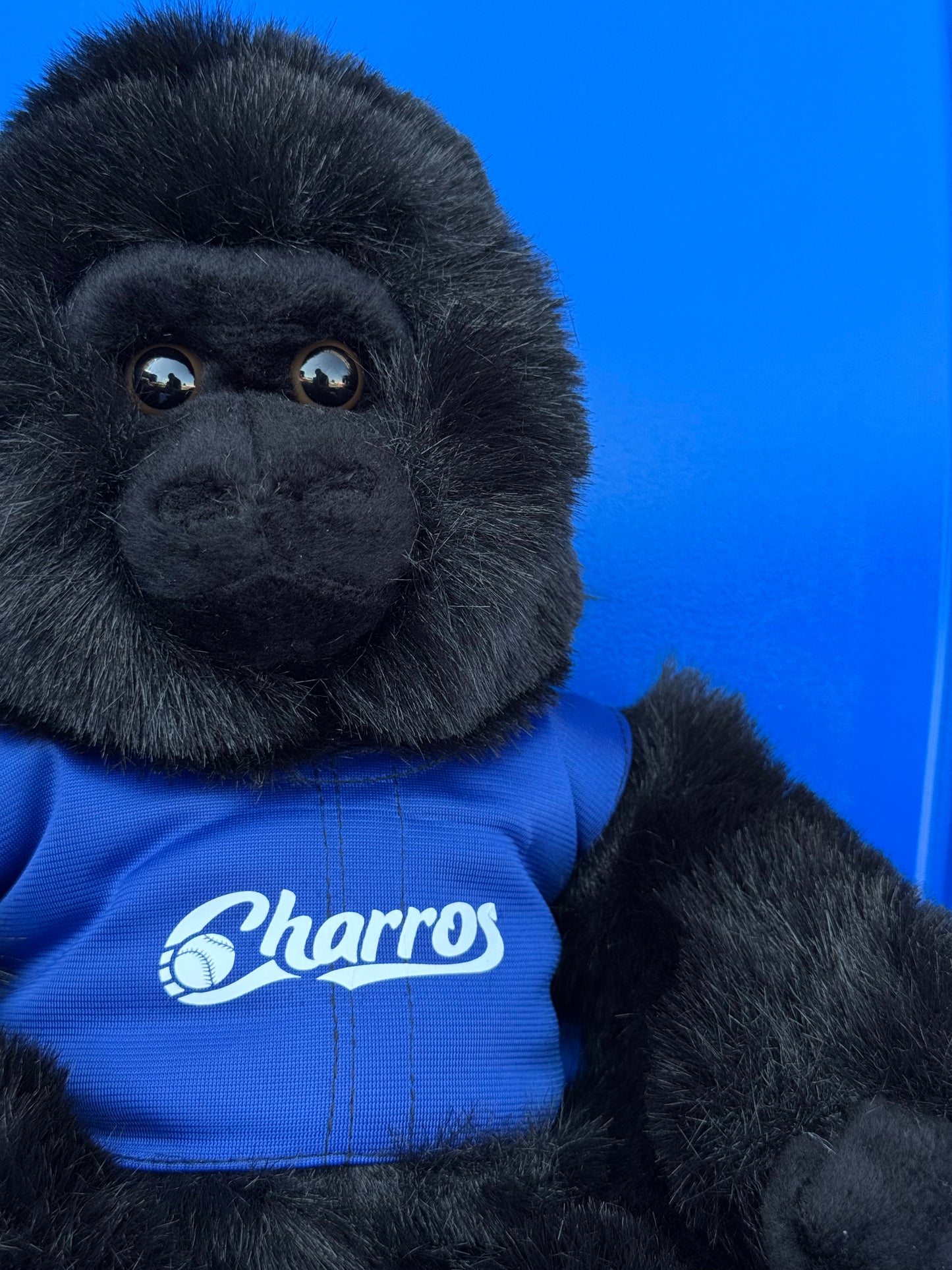 PELUCHE MASCOTA MONKEY