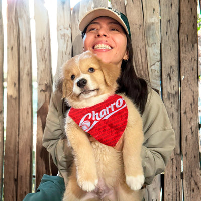 BANDANA PARA MASCOTA CHARROS