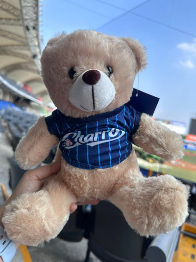 PELUCHE OSITO TEDDY CHARROS