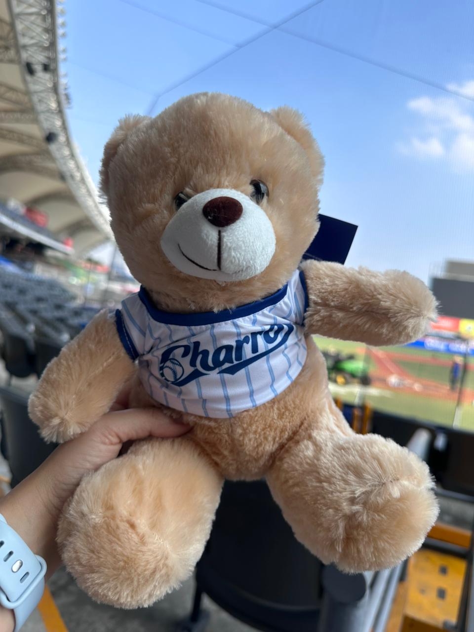 PELUCHE OSITO TEDDY CHARROS