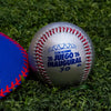 PELOTA OPENING DAY LMP 26-27