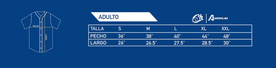 JERSEY CABALLERO OFICIAL CH AZUL REY