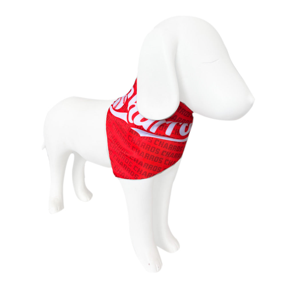 BANDANA PARA MASCOTA CHARROS