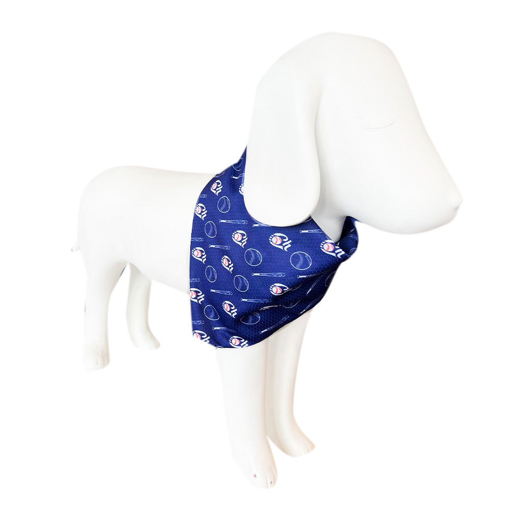 BANDANA PARA MASCOTA CHARROS