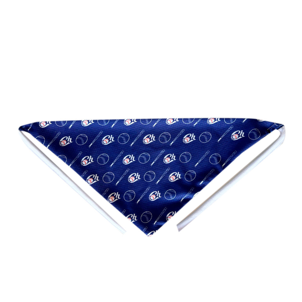 BANDANA PARA MASCOTA CHARROS
