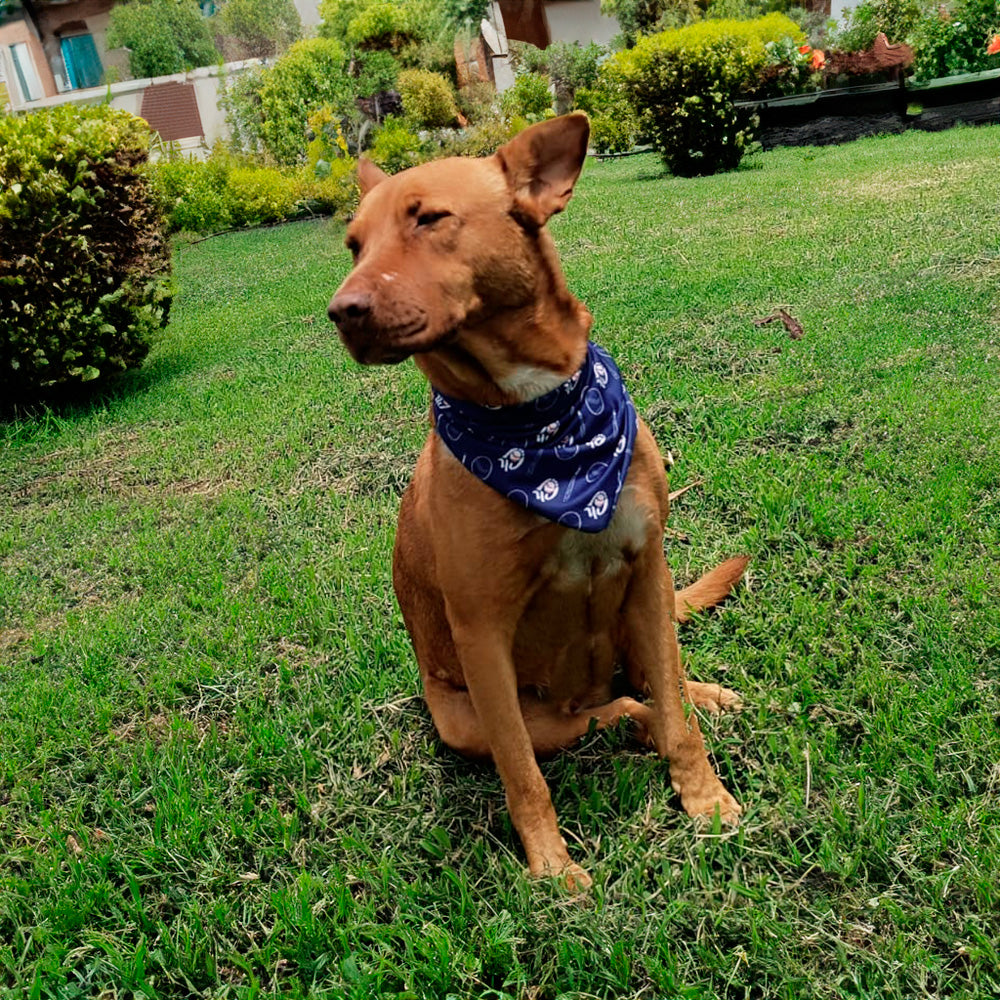 BANDANA PARA MASCOTA CHARROS