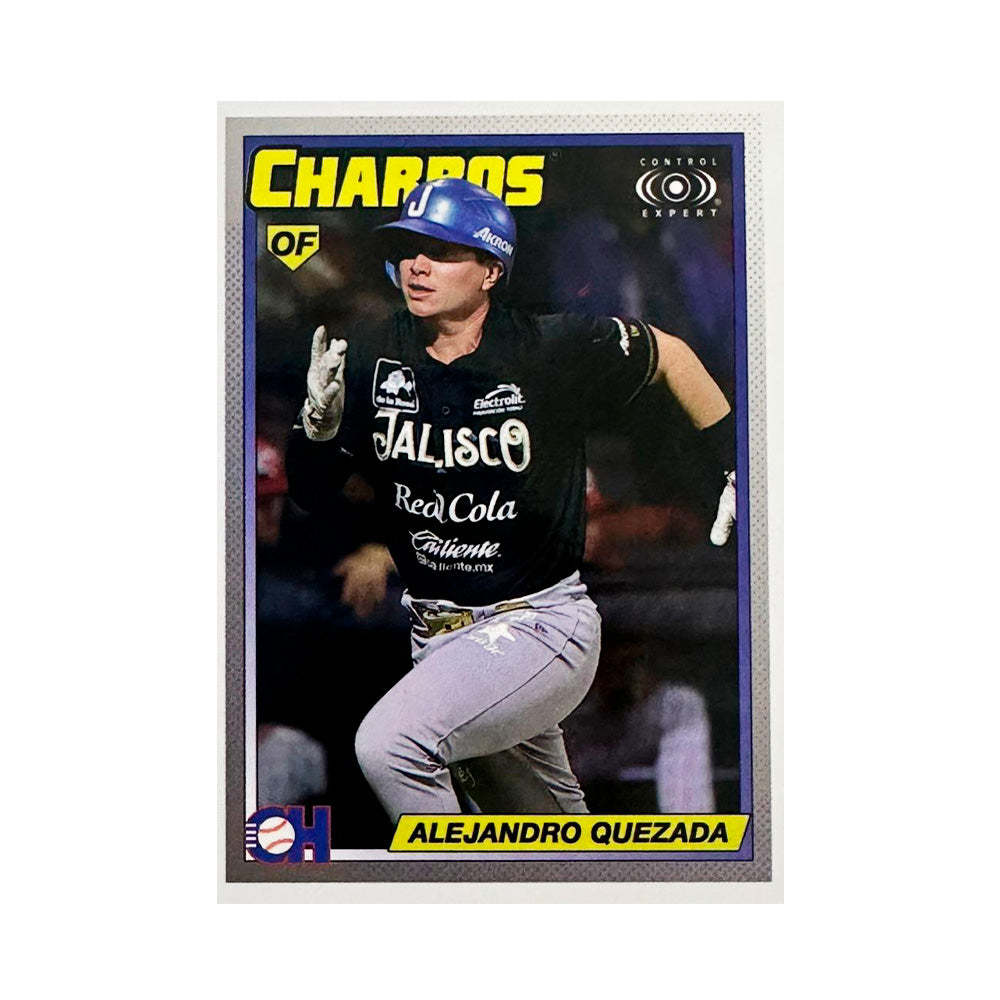 SET 5 CHARROCARDS