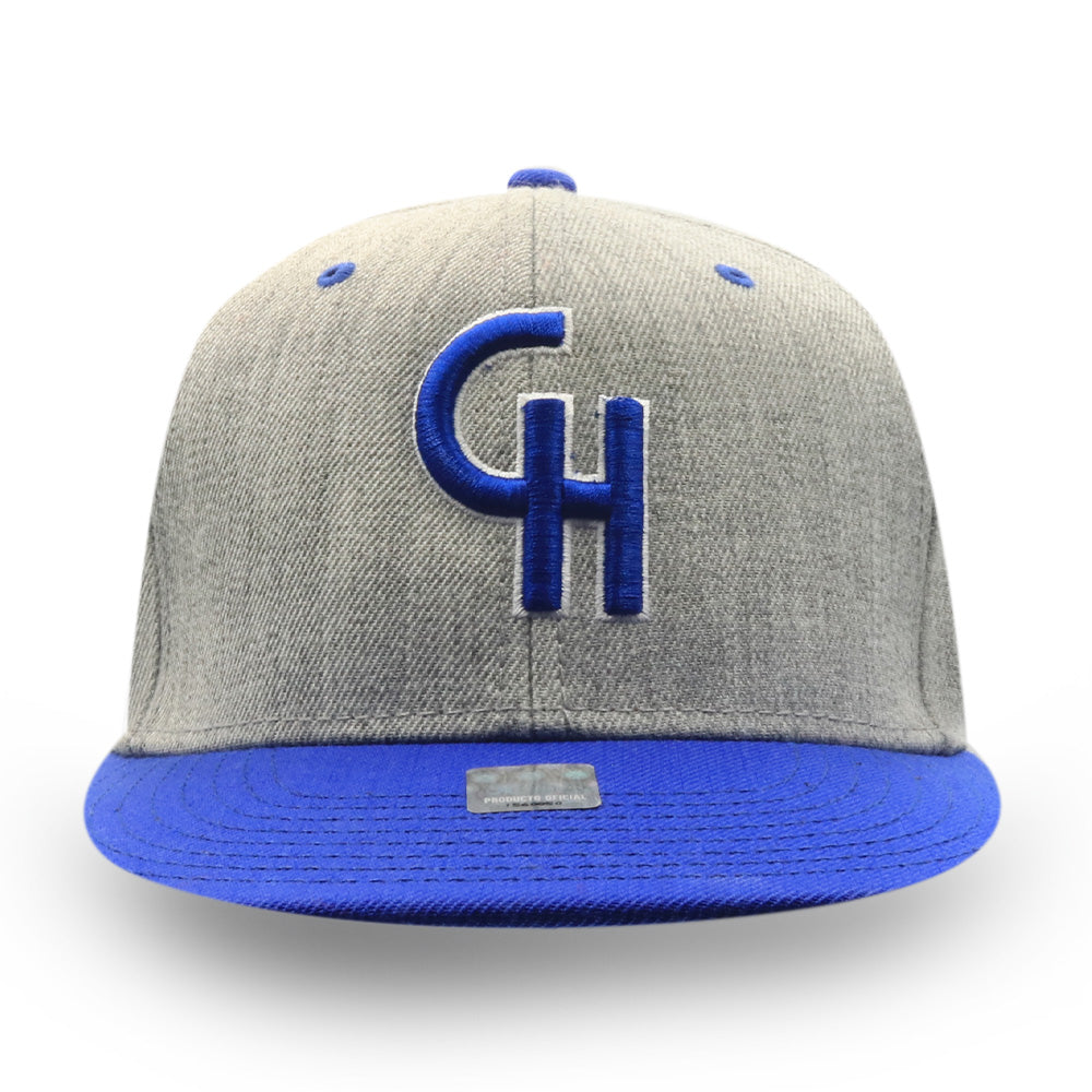 GORRA EXPLOSION SNAPBACK GRIS