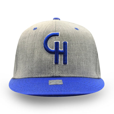 GORRA EXPLOSION SNAPBACK GRIS