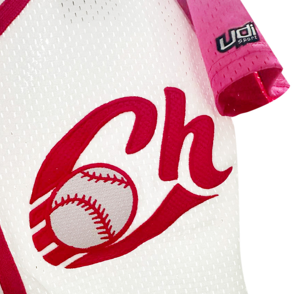 JERSEY ALTERNATIVO LMB25 BLANCO ROSA UDI