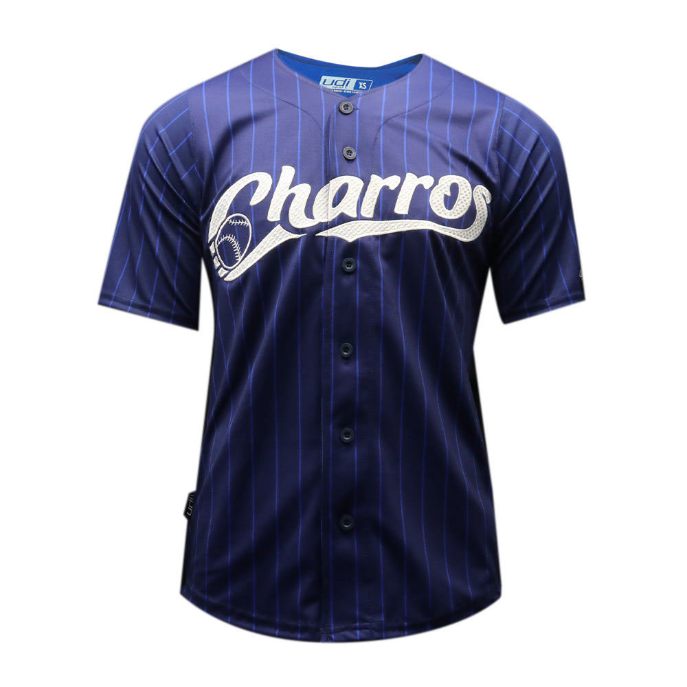 JERSEY ALTERNATIVO VERANO 24 RAYAS AZUL