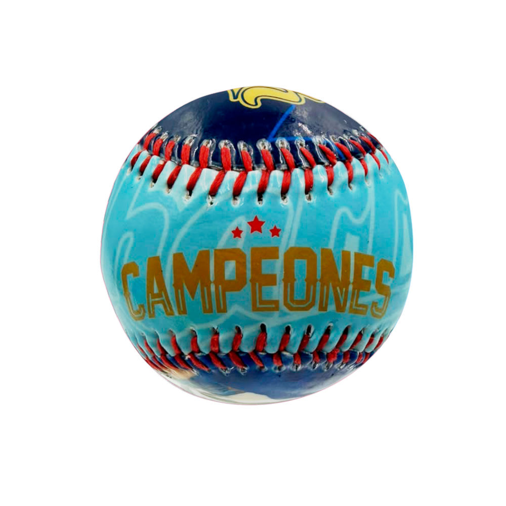 PELOTA CAMPEONES 2018-2019