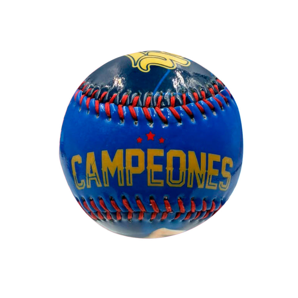 PELOTA CAMPEONES 2018-2019