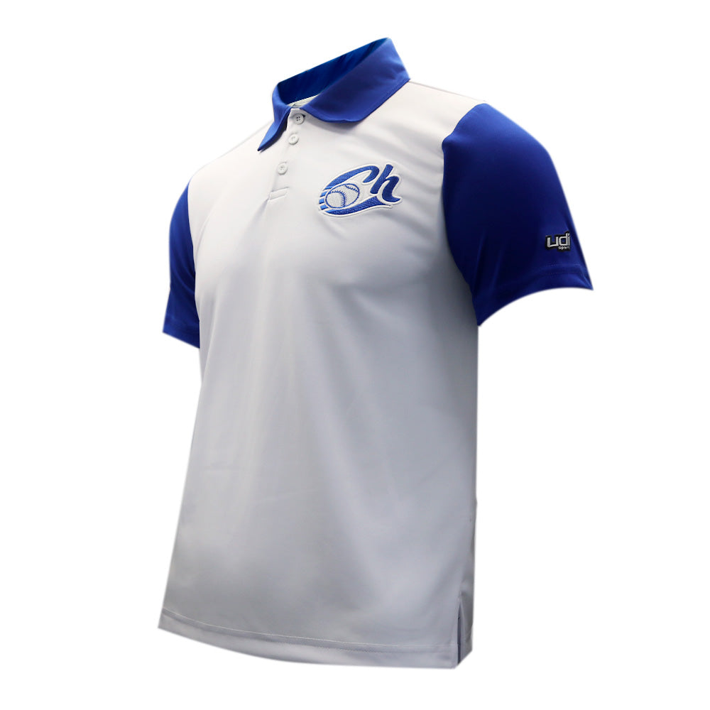 CAMISETA TIPO POLO AZUL BLANCO CH