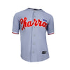 JERSEY LMB 26 ALTERNATIVO CABALLERO CHARROS GRIS